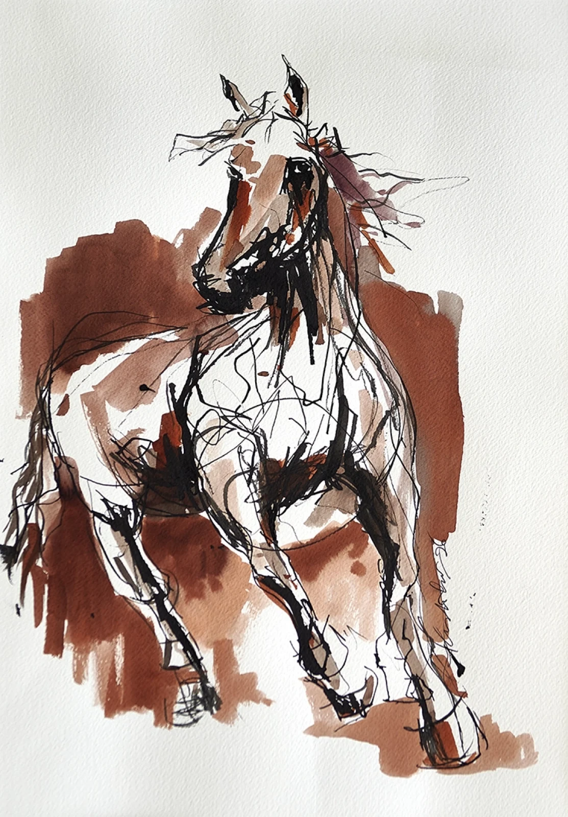 Cavalo IV