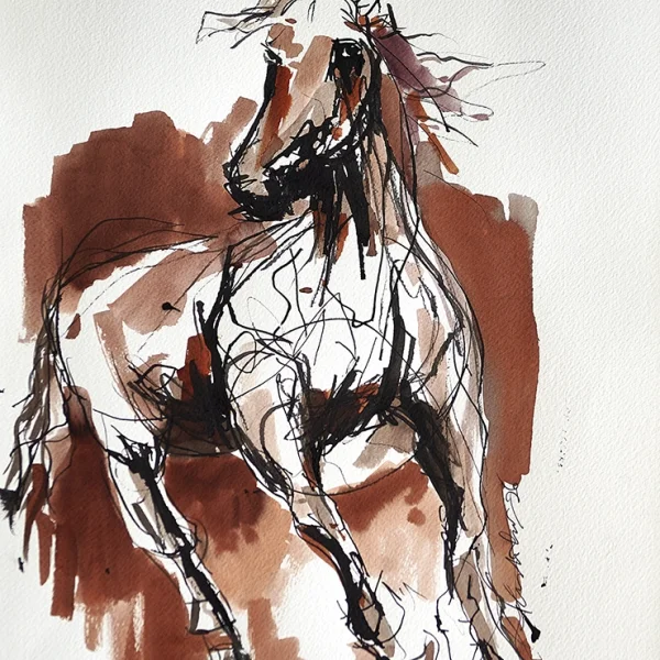 Cavalo IV