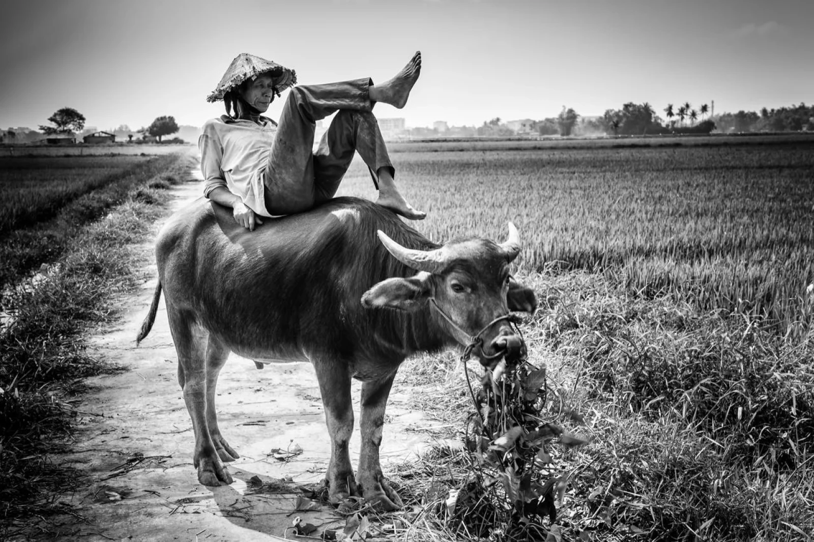 Descanso Vietnam II