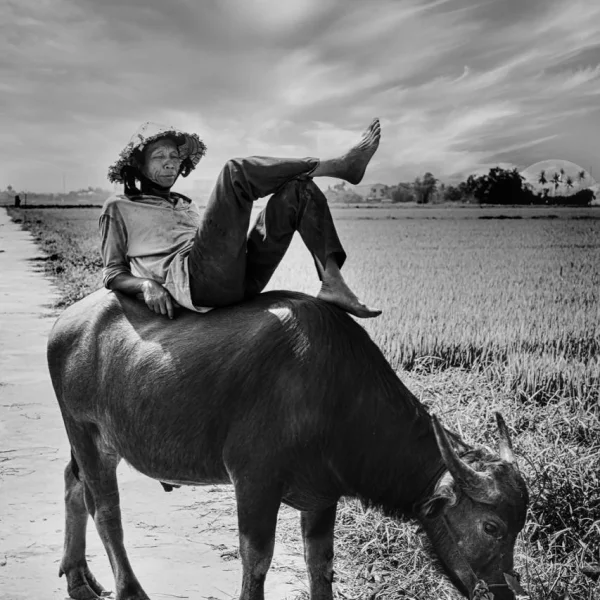 Descanso-Vietnam